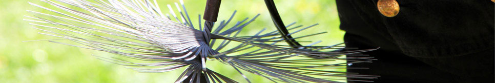 Banner - Hans-Dieter Schaal